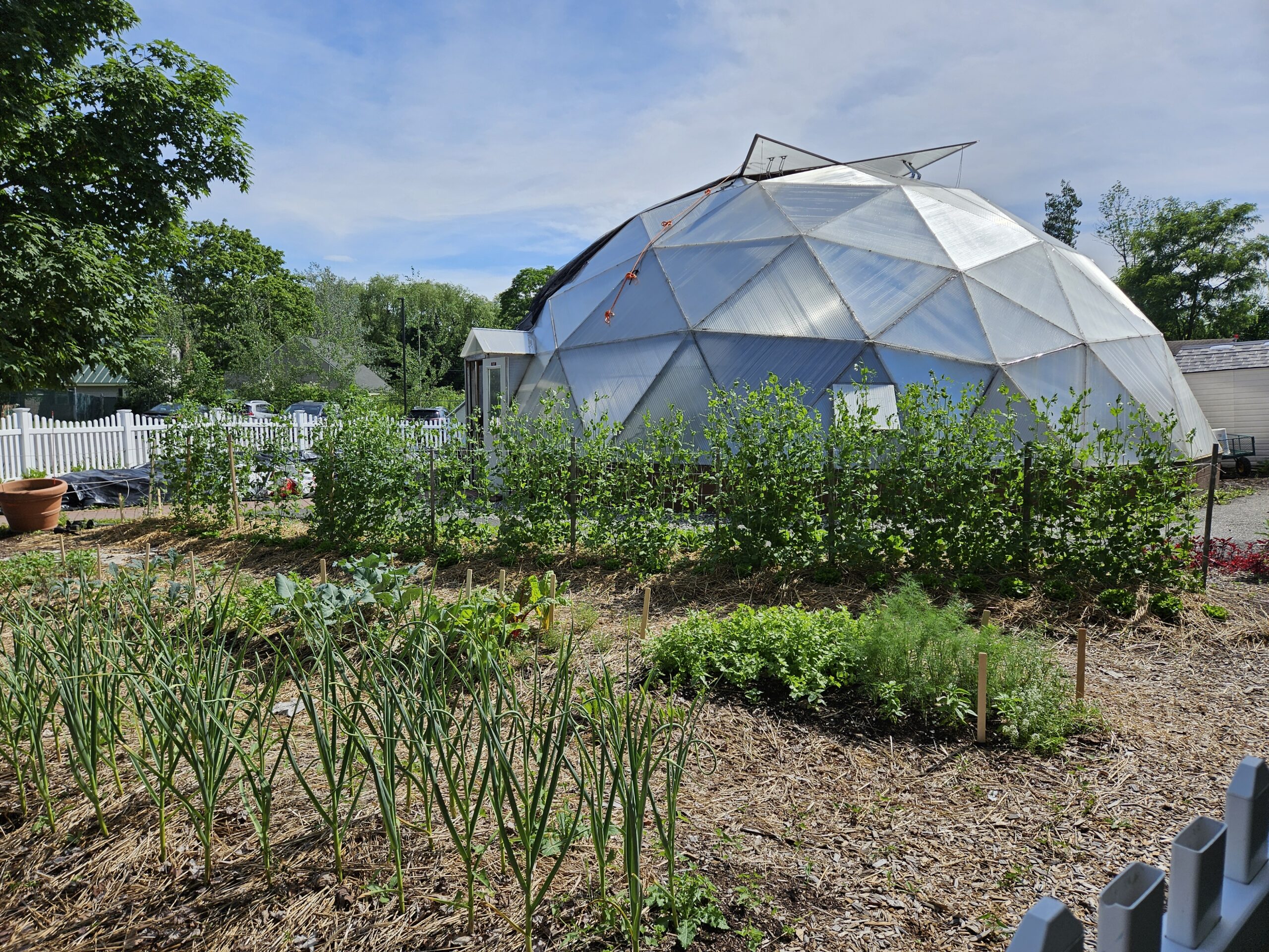 Mary Nash Beaupre Greenhouse:  Year-Round Learning and Growth